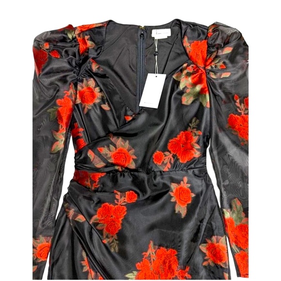 Lovers + Friends Red Rose Chiffon Puff Sleeve Mini Dress 🌹 - Picture 5 of 6